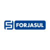 logo-forjasul